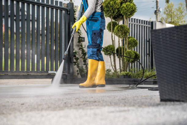 Animal Enclosure Cleaning in Red Lake Falls, MN